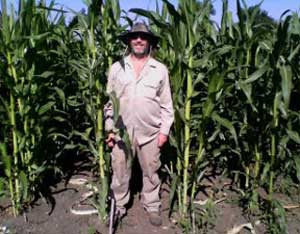 Landrace Gardening: Fertilizing Landraces Image